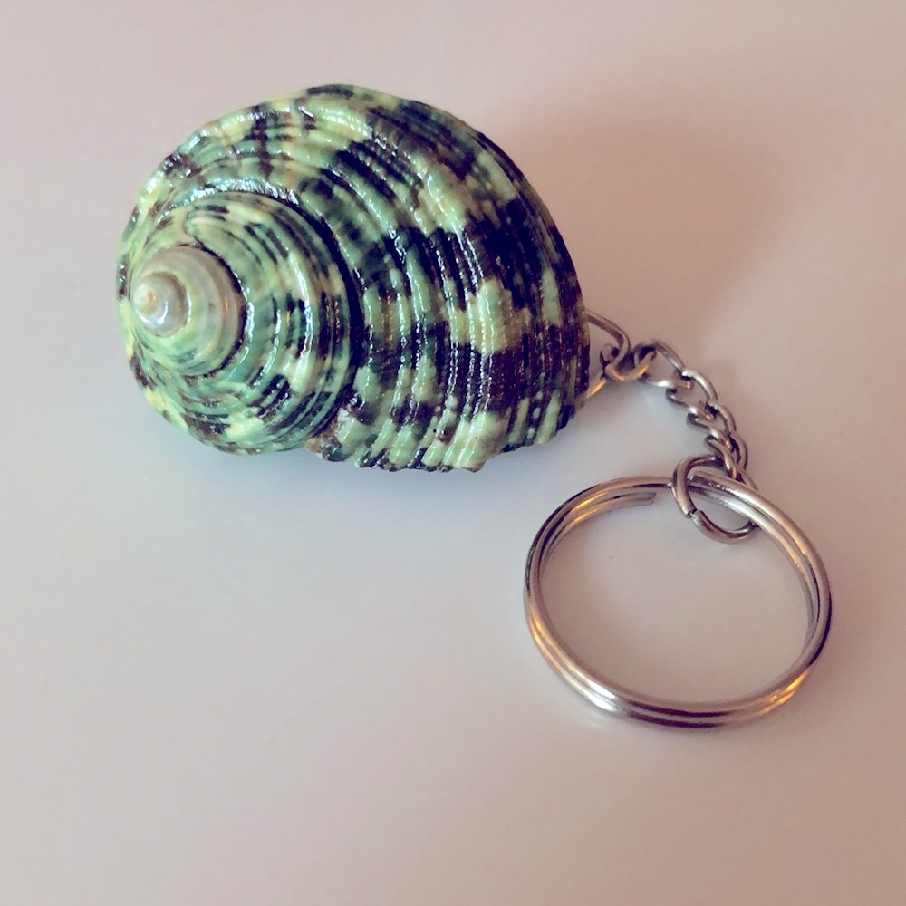 Green Shell Keychain - Picture 3 of 4